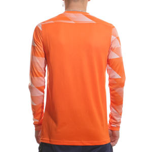 Camiseta Nike portero Dri-Fit Park 4 - Camiseta de manga larga de portero Nike - naranja