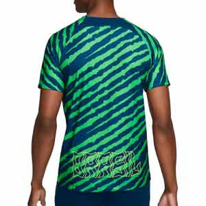 Camiseta Nike Brasil Dri-Fit pre-match - Camiseta de calentamiento pre-partido Nike de la selección de Brasil - azul, verde