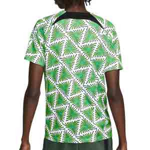 Camiseta Nike Nigeria Dri-Fit pre-match - Camiseta de calentamiento pre-partido Nike de la selección de Nigeria - verde, blanca