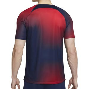 Camiseta Nike PSG pre-match Dri-Fit Academy Pro - Camiseta de calentamiento pre-partido Nike del Paris Saint Germain - azul marino