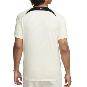 Camiseta Nike Chelsea pre-match Academy Dri-Fit - Camiseta calentamiento pre-partido Nike del Chelsea - crema