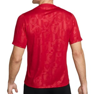 Camiseta Nike Liverpool Pre-Match Academy Dri-Fit - Camiseta de calentamiento pre-partido Nike del Liverpool - rojo