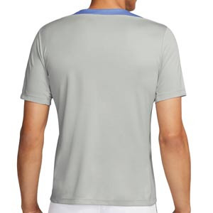 Camiseta Nike Tottenham Entrenamiento Strike Dri-Fit - Camiseta de entrenamiento Nike del Tottenham - gris