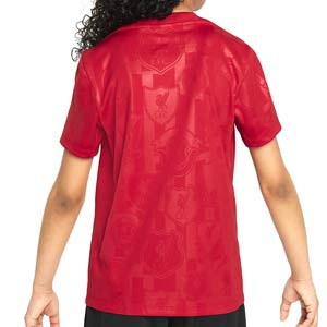Camiseta Nike Liverpool niño Pre-Match Dri-Fit - Camiseta infantil de calentamiento pre-partido Nike del Liverpool - rojo