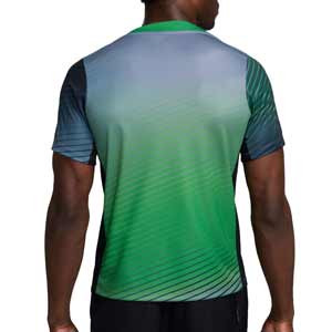 Camiseta Nike Nigeria Pre-Match  - Camiseta de calentamiento pre-partido Nike de la selección de Nigeria- gris
