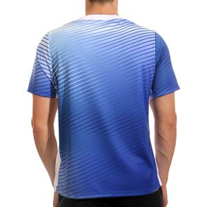Camiseta Nike Noruega Pre-Match Stadium Dri-Fit - Camiseta de calentamiento prepartido Nike de Noruega - azul