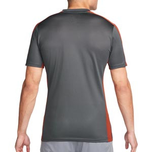 Camiseta Nike Dri-Fit Academy 23  - Camiseta de manga corta de deporte Nike Academy 23 - gris