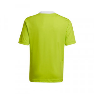 Camiseta adidas Entrada 22 niño - Camiseta de fútbol infantil adidas - amarilla