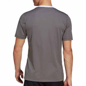 Camiseta adidas Entrada 22 - Camiseta de fútbol adidas - gris