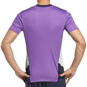 Camiseta adidas Real Madrid entrenamiento - Camiseta de entrenamiento adidas del Real Madrid CF - púrpura