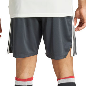 Short adidas 3a Manchester United 2024 2025 - Pantalón corto de la tercera equipación del Manchester United 2024 2025 - gris