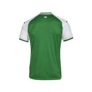 Camiseta Joma Hibernian 2024 2025 - Camiseta de la primera equipación Joma del Hibernian 2024 2025 - verde