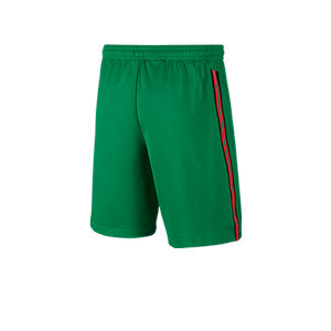 Short Nike Portugal niño 2020 2021 Stadium - Pantalón corto infantil primera equipación Nike selección Portugal 2020 2021 - verde - trasera