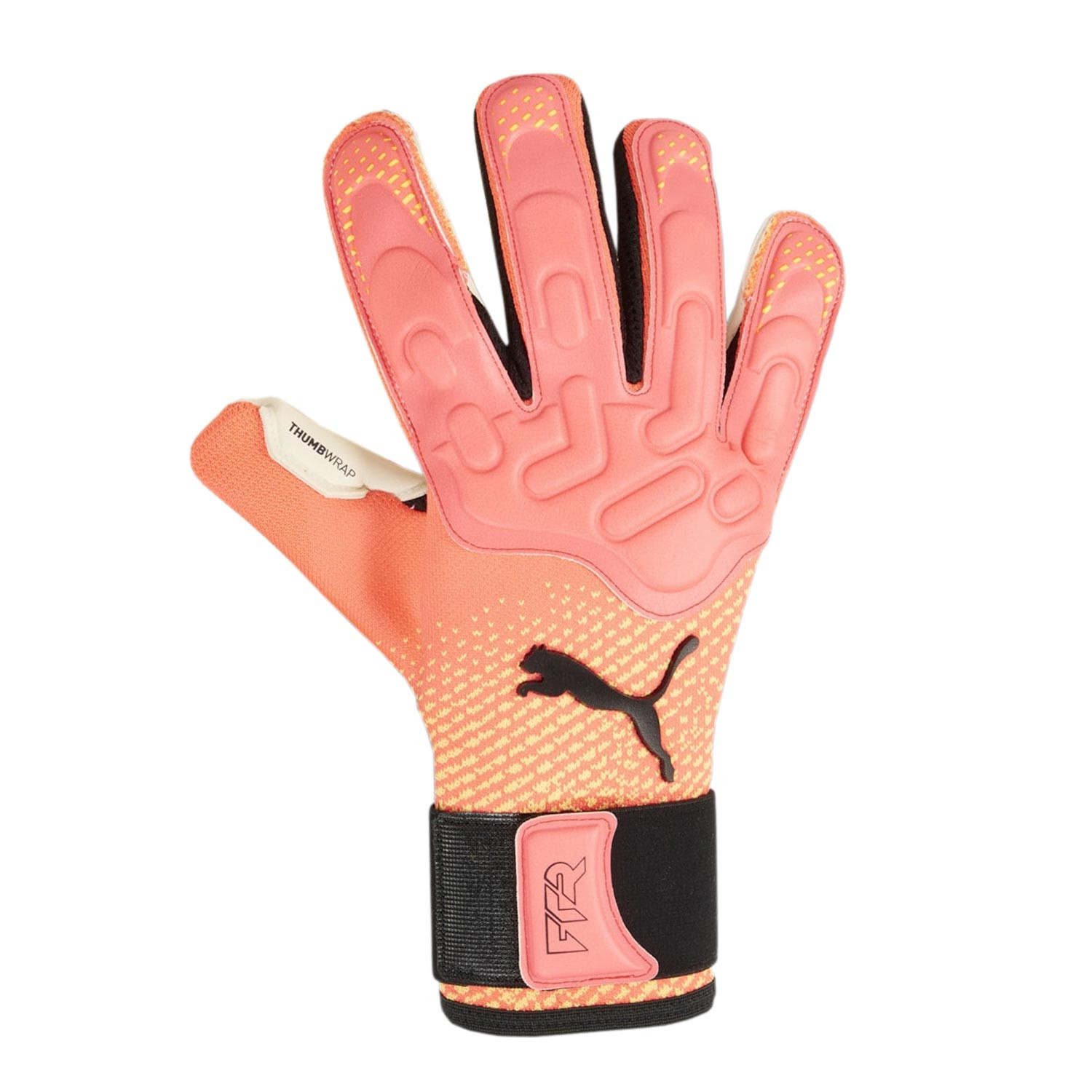 Puma hybrid rosa cheap