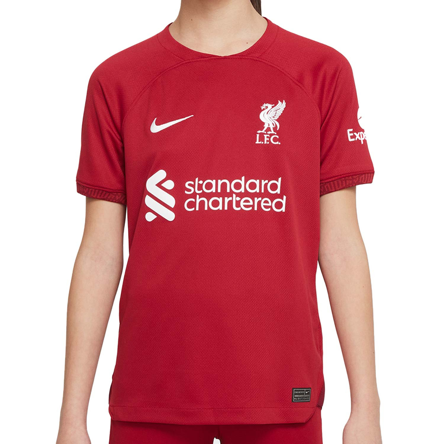 clímax ramo de flores estudio Camiseta Nike Liverpool niño 22 2023 Dri-Fit Stadium | futbolmaniaKids