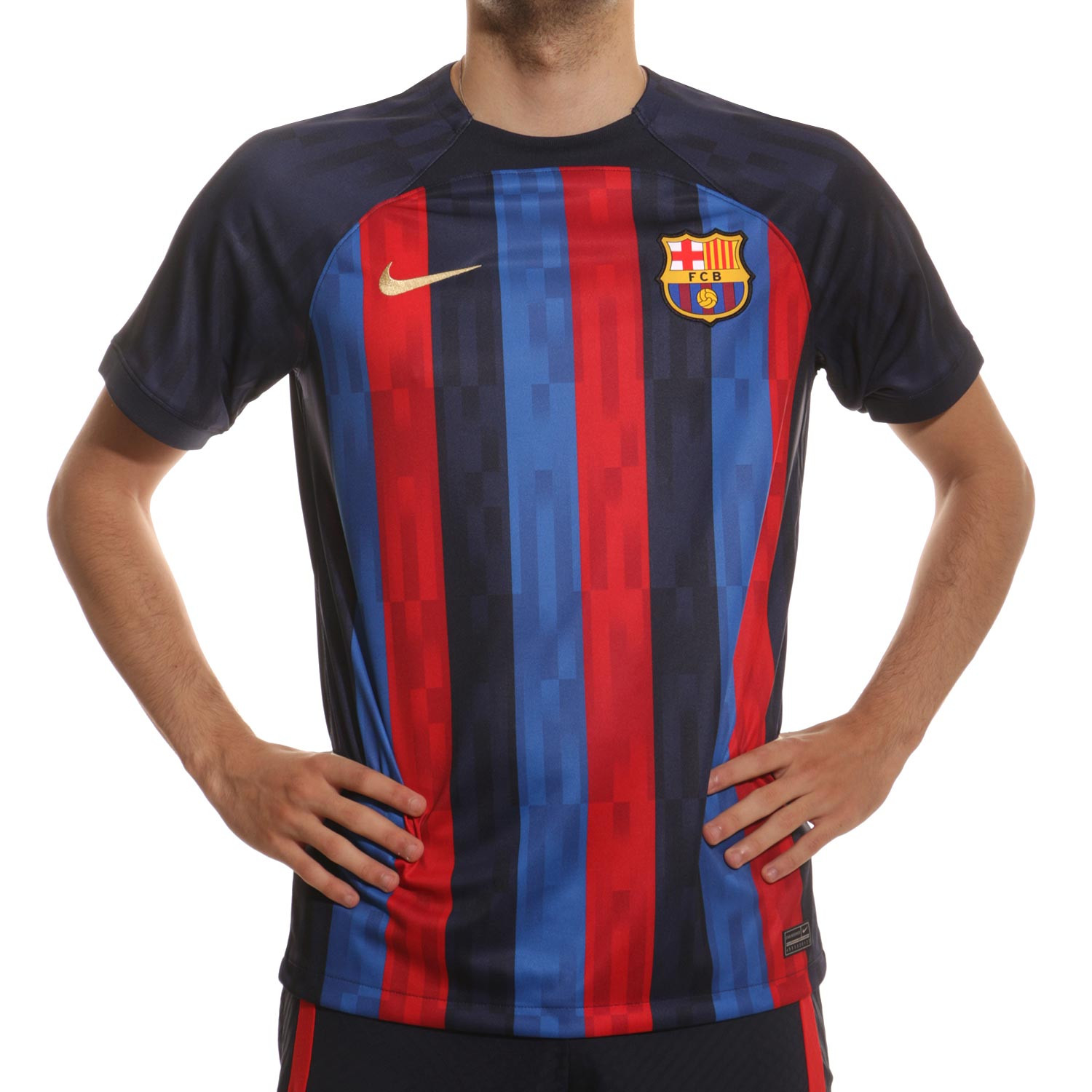 Tarjeta postal Bienes girasol Camiseta Nike FC Barcelona 2023 Dri-Fit Stadium sin publi |futbolmania