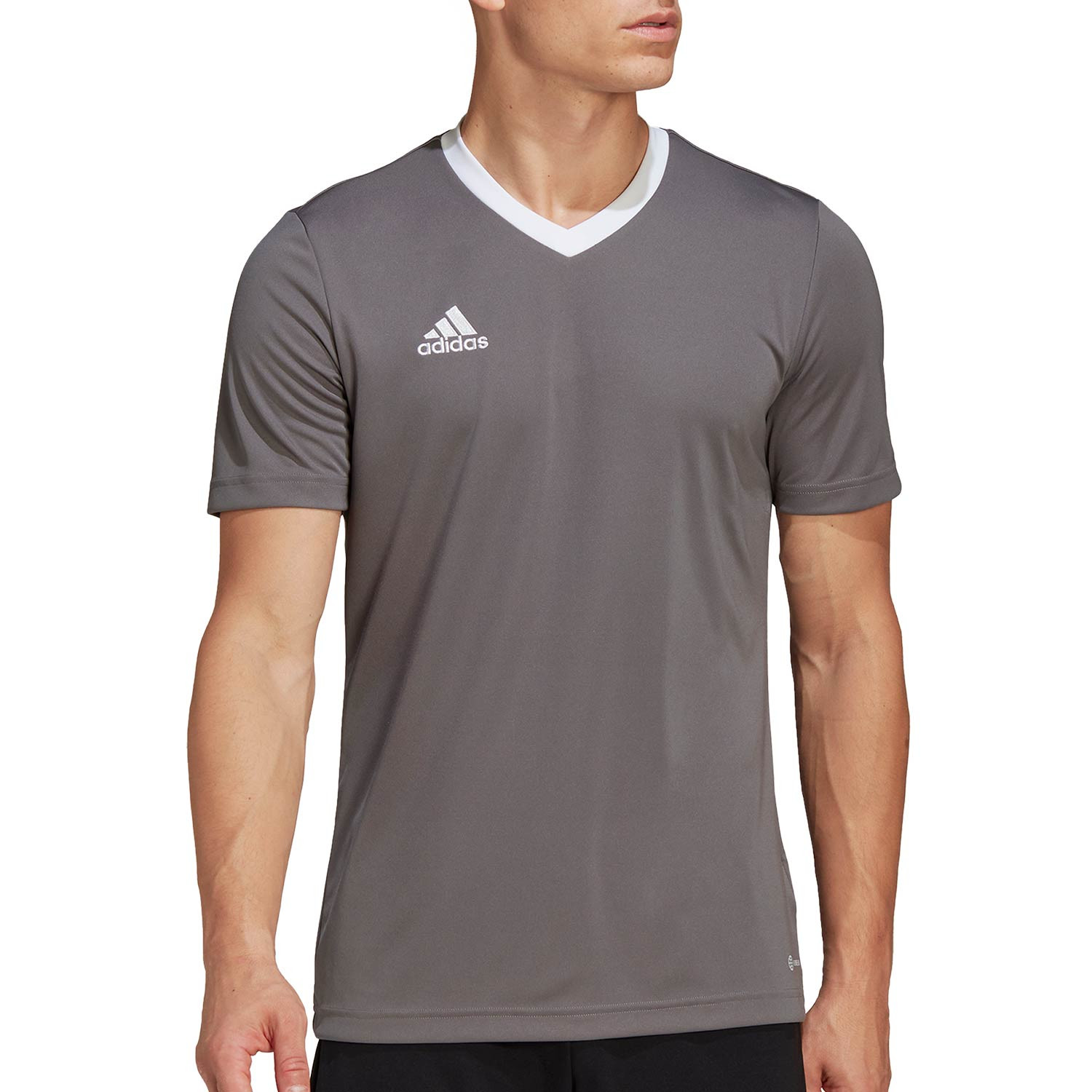 Camiseta Entrada 22 gris | futbolmania