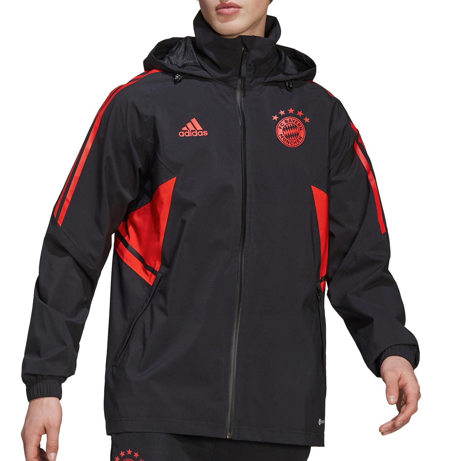 color gris FC Bayern München Sudadera con capucha para niño 