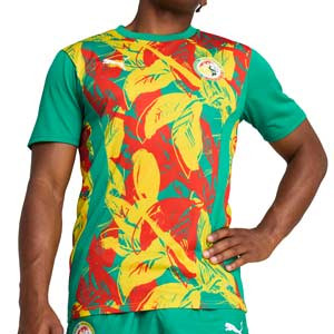 Camiseta Puma Senegal Pre-Match - Camiseta de calentamiento prepartido Puma de la selección de Senegal - verde
