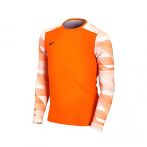 Camiseta Nike niño Park 4 Goalkeeper - Camiseta de manga larga infantil de portero Nike - naranja