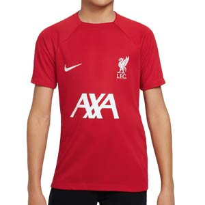 Camiseta Nike Liverpool niño entreno Dri-Fit Academy Pro - Camiseta de entrenamiento infantil Nike del Liverpool - granate
