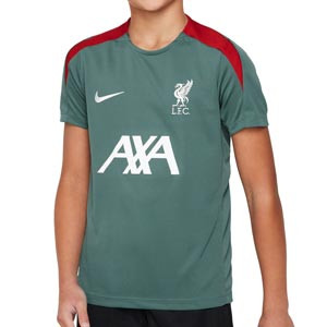 Camiseta Nike Liverpool Niño Entrenamiento Strike Dri-Fit