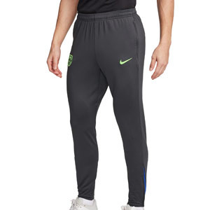 Pantalón Nike Barcelona entrenamiento Strike Dri-Fit - Pantalón largo de entrenamiento Nike del FC Barcelona - gris