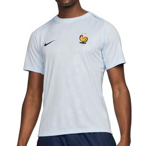 Camiseta Nike Francia Pre-Match Dri Fit Academy Pro