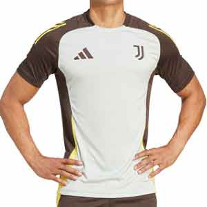 Camiseta adidas Juventus entrenamiento UCL - Camiseta de entrenamiento adidas de la Juventus de Turín para la Champions 2024 2025 - gris