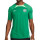 Camiseta Nike Nigeria entreno Dri-Fit Strike