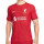 Camiseta Nike Liverpool 2022 2023 Dri-Fit ADV Match