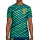 Camiseta Nike Brasil Dri-Fit pre-match