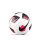 Balón Nike Park Team 2.0 talla 4