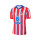 Camiseta Nike Atlético Match 2024 2025 DFADV