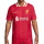Camiseta Liverpool Match 2024-2025 DFADV