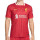 Camiseta Nike Liverpool 2024-2025 Stadium Dri-Fit