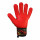 completa palma mano izquierda