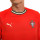 detalle cuello y escudo