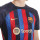 detalle cuello y pecho con escudo
