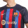 detalle cuello y pecho con escudo