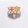 detalle escudo
