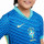 detalle cuello y pecho con escudo