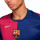 detalle cuello y pecho con escudo