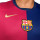 detalle escudo y logotipo