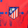 detalle escudo