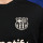 detalle escudo