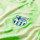 detalle escudo