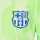 detalle escudo