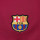 detalle escudo