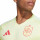 detalle cuello y pecho con escudo
